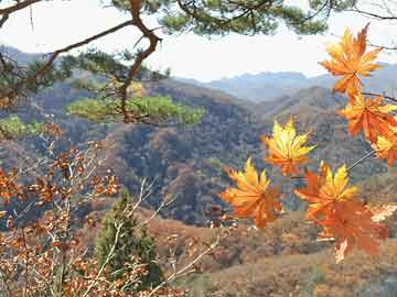 写在镇压时刻：以「美国的失败」窥视「以太路径」的风险